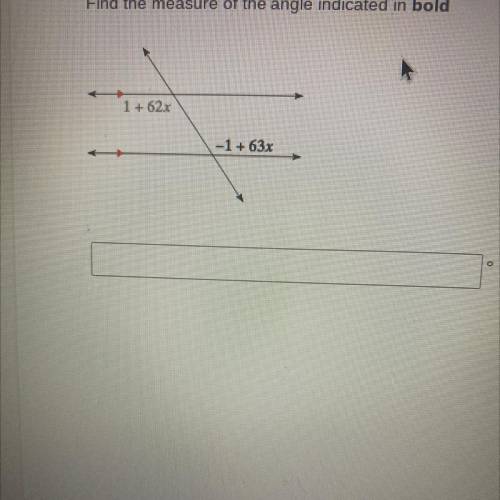 Find the measure of the angle indicated in bold