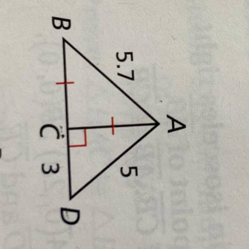 Classify each triangle by its side lengths
ACD
ABC
ABD