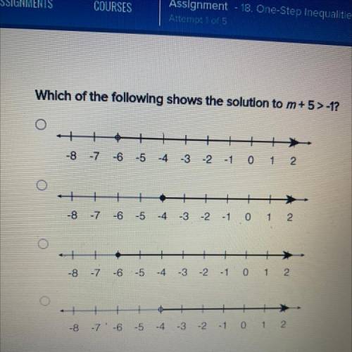 Which of the following shows the solution to m+5 >-1