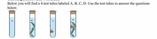 Which tubes contain organisms that will conduct cell respiration? How do you know