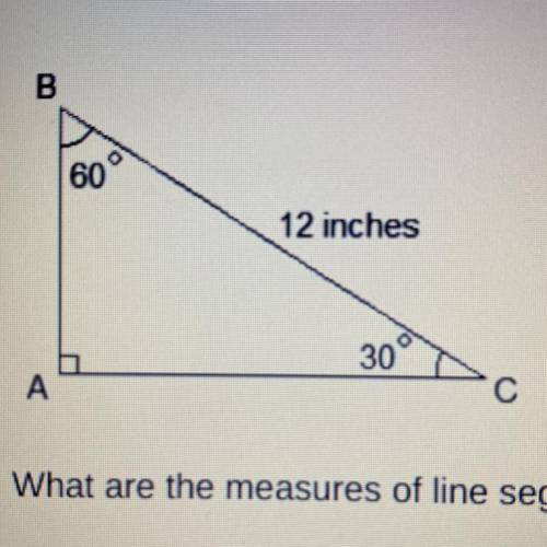 What are the measures of line segments AB and AC?