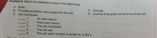 Practice 5: Match the statement ends to the beginnings

A Shell
D. Cell wall
B. Provides protectio