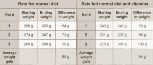 A scientist was asked to test the effect of a new vitamin for rats. His hypothesis was that young r