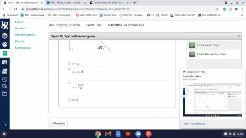 Identify the value of x. Give your answers in the simplest radical form.