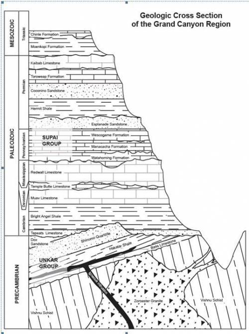 Interpreting Geologic History: Interpret the bottom half of the cross section below. Start with the