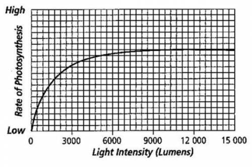 Please help

Explain what the graph on the left tells about the effect of light intensity on t