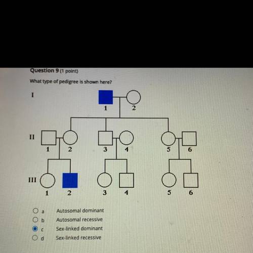 What type of pedigree is this?