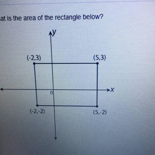 What is the area of the rectangle below?

A.
28 square units
B
24 square units
c.
35 square units