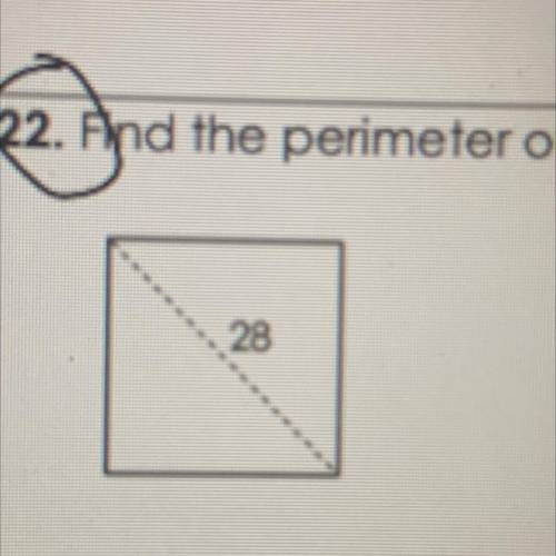 Find the perimeter of the square: