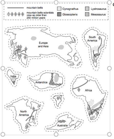 PLEASE HELP

Cut out the continents from the Continent Map. Try to arrange them on construction pa