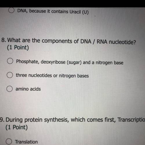 What are the components of dna / rna nucleotide