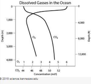 A chemist is studying dissolved gases in the ocean. She graphs her data as shown below.

Based on
