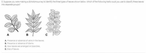 Question 5 options:

A . Presence or absence of veins in the leaves.
B . Presence or absence of st
