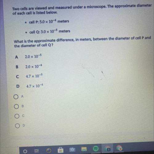 HELP PLZ with this problem