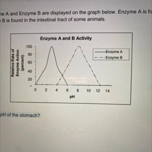 The activity for Enzyme A and Enzyme B are displayed on the graph below. Enzyme A is found in thest