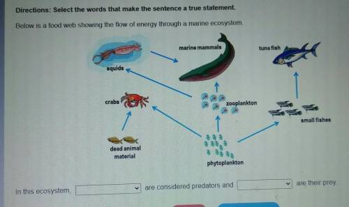 Directions: Select the words that make the sentence a true statement Below is a food web showing th