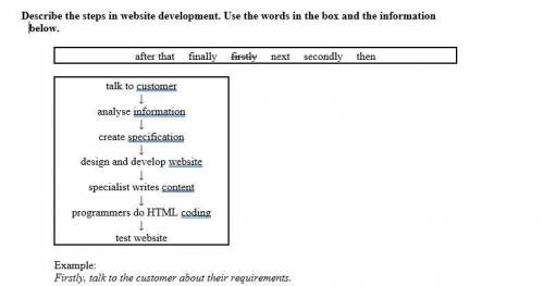 Describe the steps in website development. Use the words in the box and the information below.