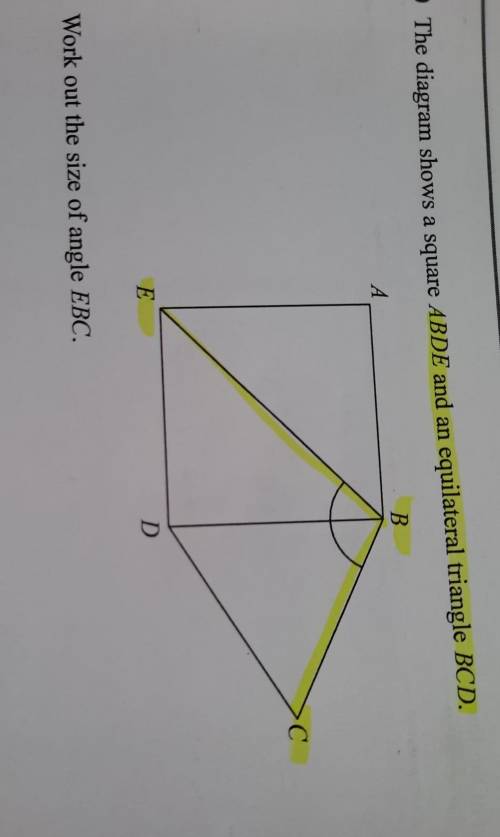The diagram shows a square ABDE and an equilateral triangle BCD work out the size of angle EBC.