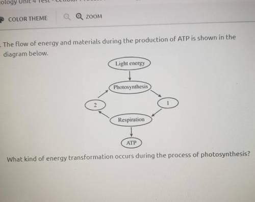 The flow of energy and materials during the production of ATP is shown in the diagram below.

A. L