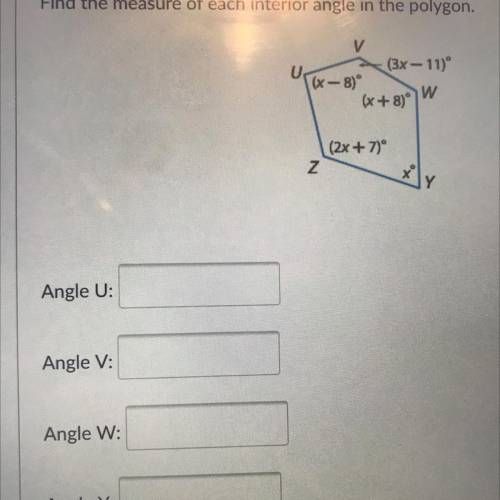 Interior angles
Someone help plz. Find all of the interior angles