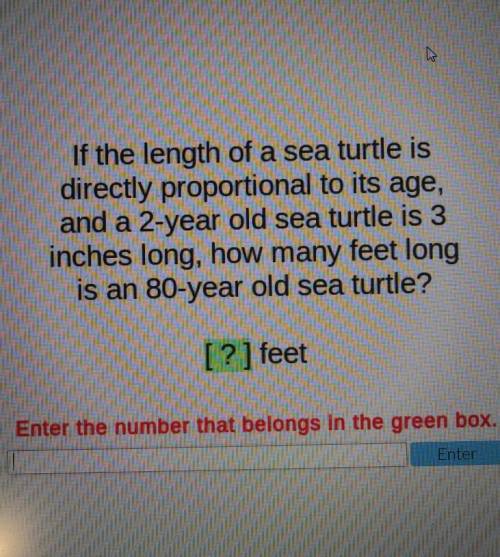 If the length of a sea turtle is directly proportional to its age, and a 2-year old sea turtle is 3