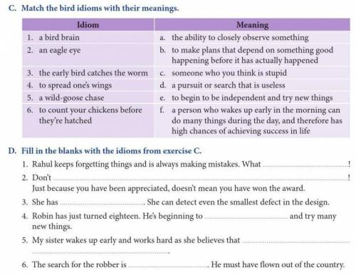 What are idioms and phrases ?

 BIRD IDIOMS AND PHRASES 
Please answer fast... please....
And pl