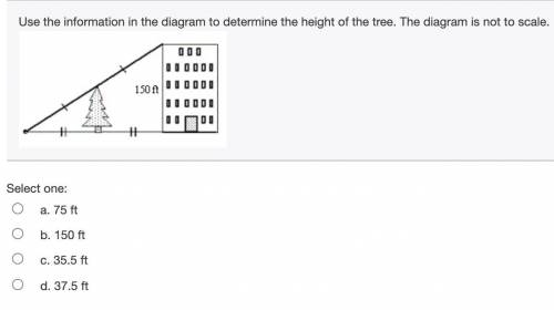 (8) Use the information in the diagram to determine the height of the tree. The diagram is not to s