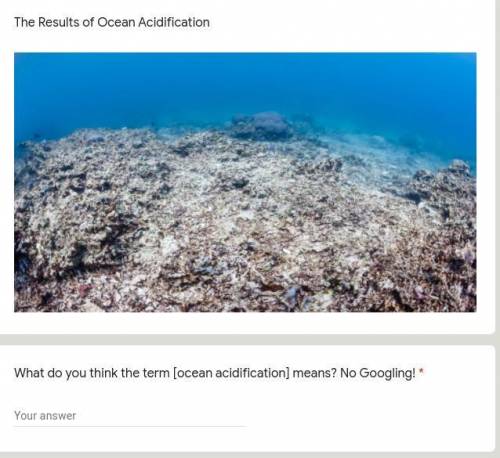 What do you think the term [ocean acidification] means?