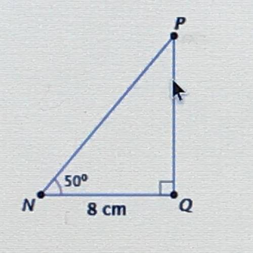 What is the length of NP to the nearest hundredth centimeter?
