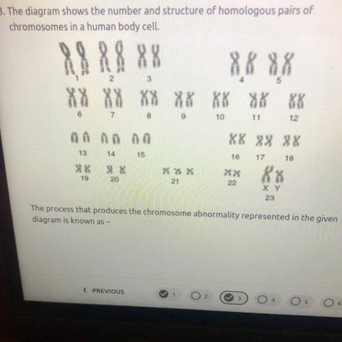 The process that produces the chromosome abnormality represented in the given diagram is known as-
