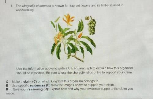 HELP ME PLEASE ITS URGENT THIS WAS DUE 5 MINUTES AGO

1. The Magnolia champaca is known for fragra