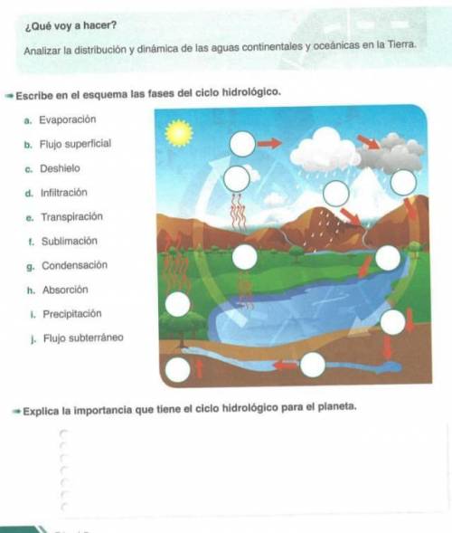 Escribe en el esquema las fases del ciclo hidrologico