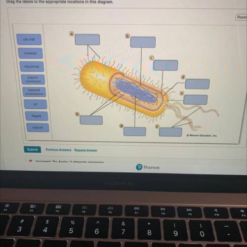 Can someone help me label the structures of a prokaryotic cell please.