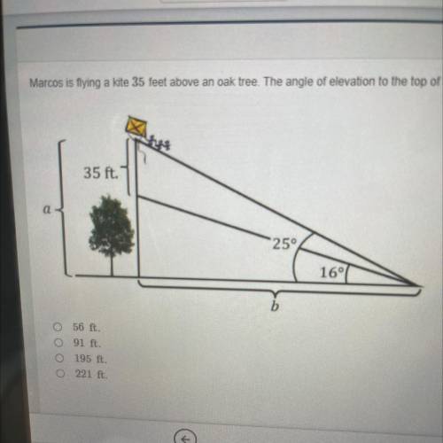 Marcos is flying a kite 35 feet above an oak tree. The angle of elevation to the top of the tree is