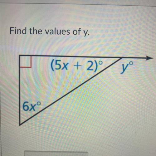 Find the values of x.