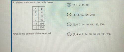 I don’t understand this question please please help!