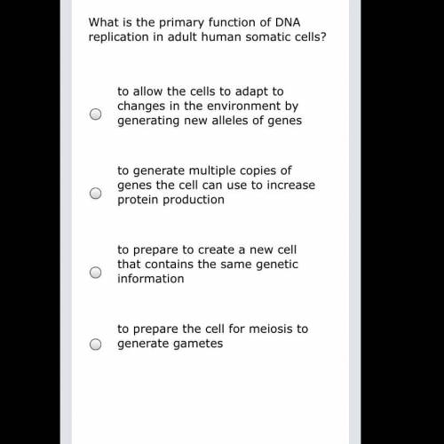 What is the primary function of DNA replication in adult human somatic cells? to allow the cells to