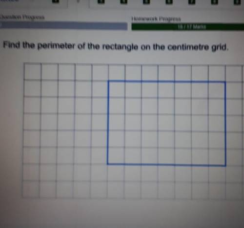 Find the perimeter of the rectangle on the centimeter grid
