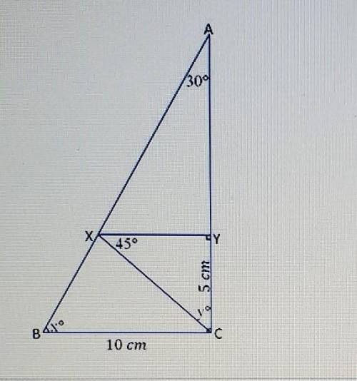 PLEASE HELP FAST!! 2. What is the length of segment XY? Show or explain how you know
