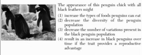 The photograph below shows a recently discovered all-black penguin chick and several typical black