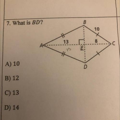 I need help. How do i solve this?