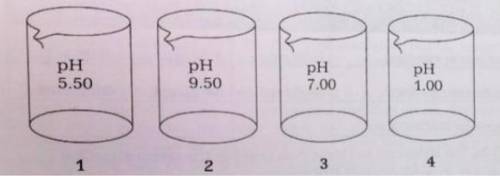 The four beakers above each contain 100.-mL of different solutions of similar concentrations.

(a)