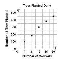 The number of seeding trees that can be planted in one day depends on the number of students in the