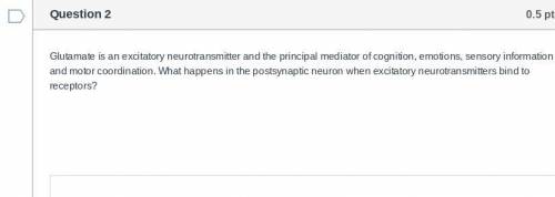 What happens in the postsynaptic neuron when excitatory neurotransmitters bind to receptors?