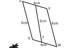 Find the area and perimeter of parallelogram.