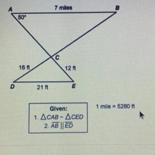 Using the diagram below, what is the measurement of angle E?

A. 65°
B. 130°
C. 50° 
D. 25°