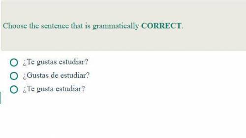 Help spanish exam....