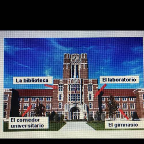 Using the image of the university building provided, create an itinerary (in Spanish) for a day at