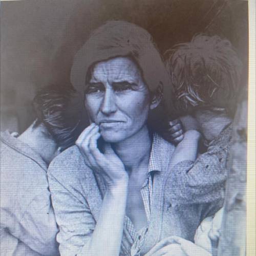 15 points

Using the image above, explain how the Great Depression socially,
economically and poli