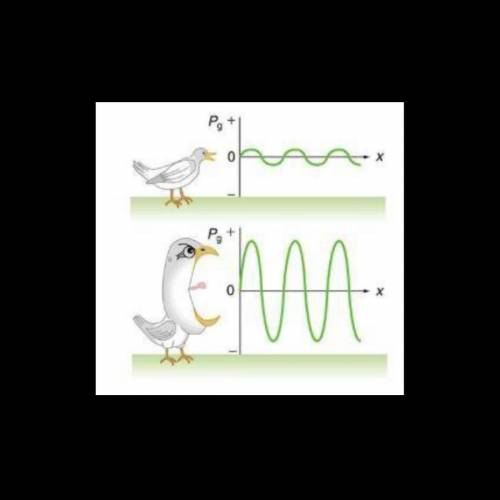 These two birds both chirp a song in the morning. Compare and contrast the

two waves properties (